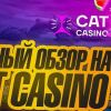  Cat Casino:      